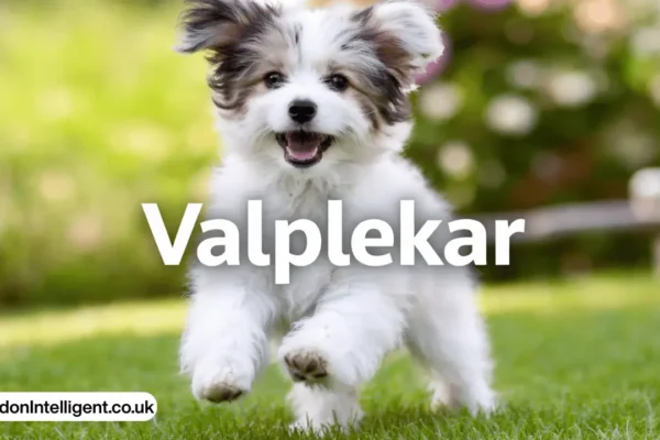 valplekar